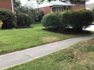 Mulching by Kamonta Hackey for Scott S. in Silver Spring, MD