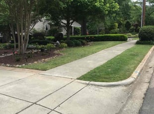 Bush Trimming by Brandon Medlin for James w. in Cary, NC