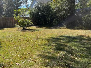 Cleanups by Andrew White for Jared H. in Decatur, GA