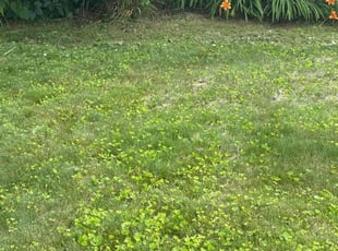 Weeding by Jonathan Richardson for Teresa H. in Red Lion, PA