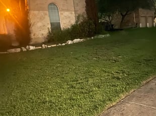 Bush Trimming by Roger Ellul for Brandon H. in San Antonio, TX