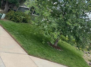 Jennifer B.'s Lawn Service service result