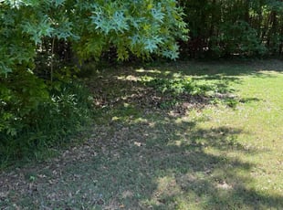 Cleanups by Grayson Gunn for Ralph L. in Collierville, TN