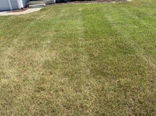 Catherine K.'s Lawn Mowing service result