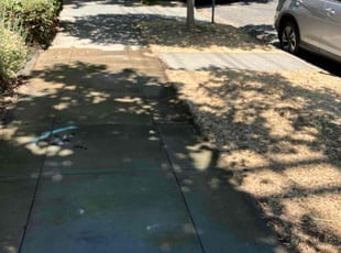 Cleanups by Gabriel Aldrete Contreras for Kay K. in Sacramento, CA