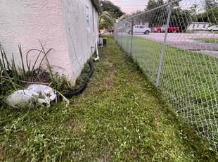 Cleanups by Devin Wiggins for Elliott H. in Pompano Beach, FL