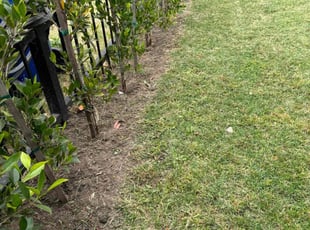 Weeding by Fernando Gomez Rodriguez for Vickie C. in Los Angeles, CA