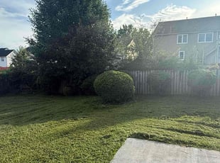 Bush Trimming by B J for Natasha W. in Hampton, GA