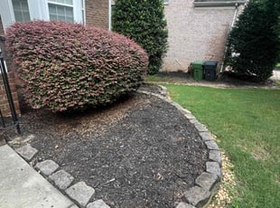 Weeding by Rigoberto V ruiz for Brandon J. in Charlotte, NC