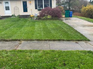 Julie A.'s Yard Cutting service result