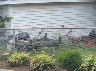 Weeding by Ronnie Anderson for Sheryl C. in West Allis, WI
