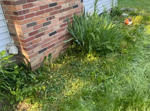 Leaf Removal by Paris Green for Alicia O. in Webster, NY