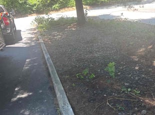 Leaf Removal by Steve Valverde for Robert L. in North Providence, RI
