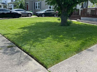 Darlene J.'s Lawn Care service result