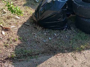 Cleanups by Rodney Shenks for Kristopher F. in Memphis, TN
