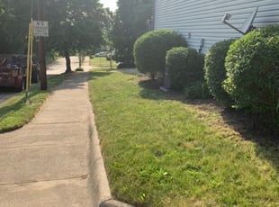 Bush Trimming by Thomas Abney for Phillip W. in Akron, OH