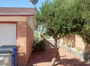 Bush Trimming by Angel Sandoval for Karen H. in El Paso, TX