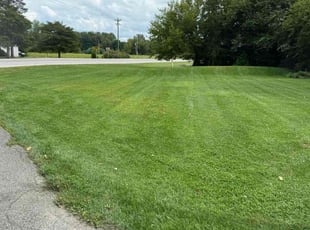 Candice P.'s Lawn Care service result