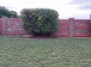 Bush Trimming by Renarld Gardner for Andy T. in Mansfield, TX