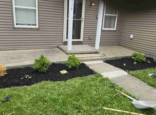 Cleanups by Dywane Clarke for Clementine B. in Grove City, OH