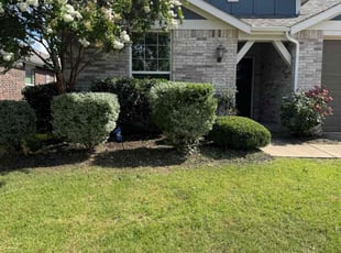 Bush Trimming by Dusty Posey for Denzil B. in Aubrey, TX