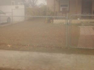Cleanups by Vincent Venegas for Eddie S. in Fresno, CA