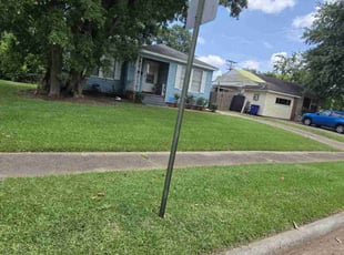 Bush Trimming by Antonio Scott for Charles G. in Shreveport, LA