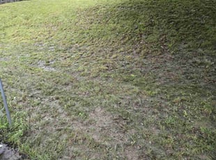 Leaf Removal by Jacob Soboski for Henry M. in Erie, PA