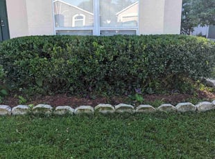 Bush Trimming by Christie Brito for Stephen N. in Longwood, FL