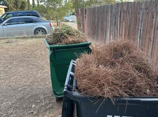 Leaf Removal by Timothy Watson for Faasauga G. in Moreno Valley, CA