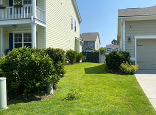 Bush Trimming by Jayquan Grooms for Nicholas P. in Mount Pleasant, SC