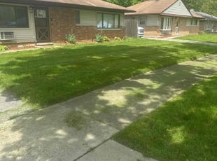Mark C.'s Lawn Mowing Service service result