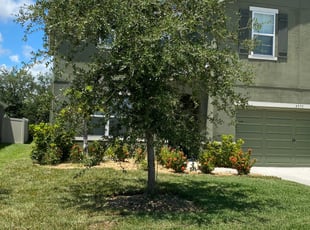 Landscaping by Elvin Clark for Mark H. in Melbourne, FL