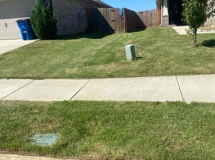 Lisa W.'s Lawn Mowing service result