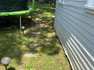 Leaf Removal by David Trejo for Dmitri I. in Washington, DC
