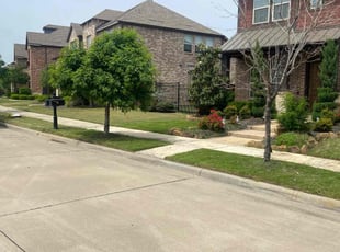 Dan M.'s Grass Cutting service result