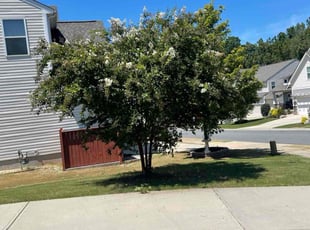 Shailesh N.'s Bush Trimming service result