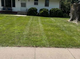 Anthony C.'s Grass Cutting service result