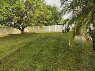 Natalie C.'s Lawn Maintenance service result