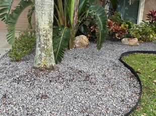 Leaf Removal by Cheryl Badger for Shelley V. in Oldsmar, FL