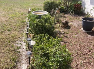 Bush Trimming by Robert Martin for Beverly J. in Lakeland, FL