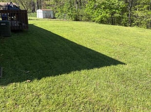 Sandra D.'s Lawn Service service result