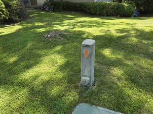 Pia C.'s Grass Cutting service result