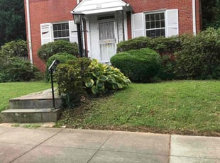 Bush Trimming by Kamonta Hackey for Sarah M. in Washington, DC