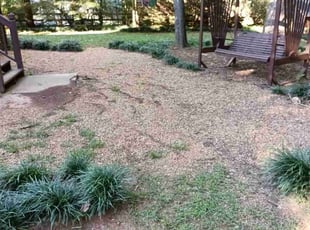 Cleanups by Enrique Juarez for Dylan K. in Canton, GA