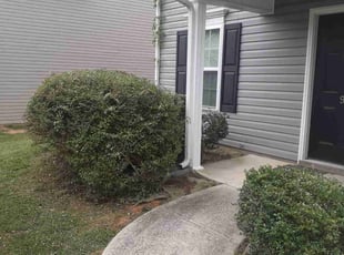 Bush Trimming by Paul Driver for Darius C. in Greensboro, NC