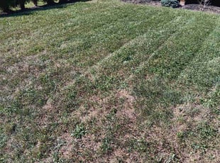 Cleanups by Brian Folden for John B. in Cincinnati, OH