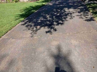 Sharon W.'s Lawn Care service result