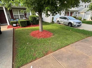 Mulching by Quincy D. for Jocquelyn D. in Charlotte, NC