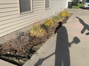 Weeding by Shawn Beardall for Shelley B. in Spanish Fork, UT